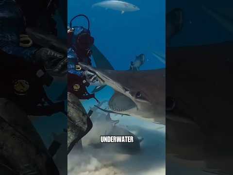 Never Do This With Animals (4 Deadly Mistakes)