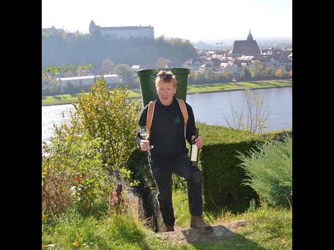 Pirnaer Unikat - Wein Schlossblick