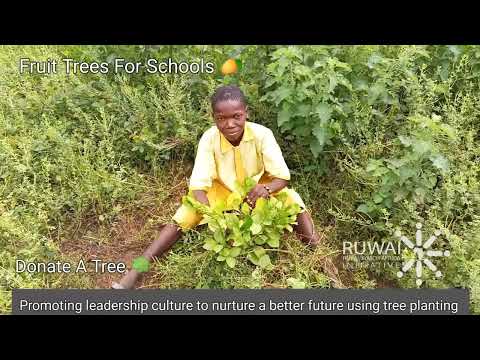 Plant fruit trees and raise happy healthy children
