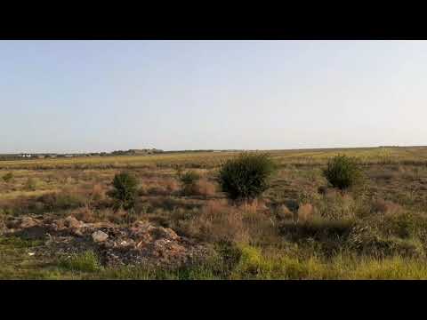 EGM 1025 cu trenul IRN 1944 "Liviu Rebreanu" Satu Mare-Mangalia în Costinești