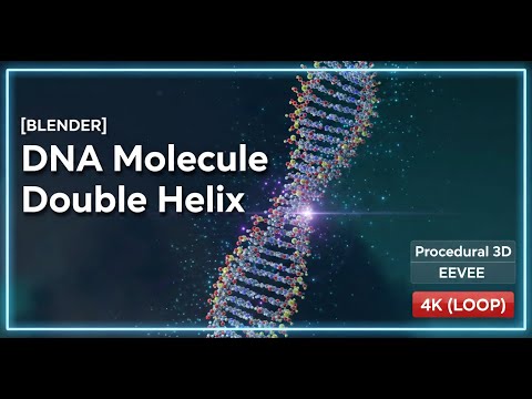 Double Hélice ADN - Animation 3D Procédurale