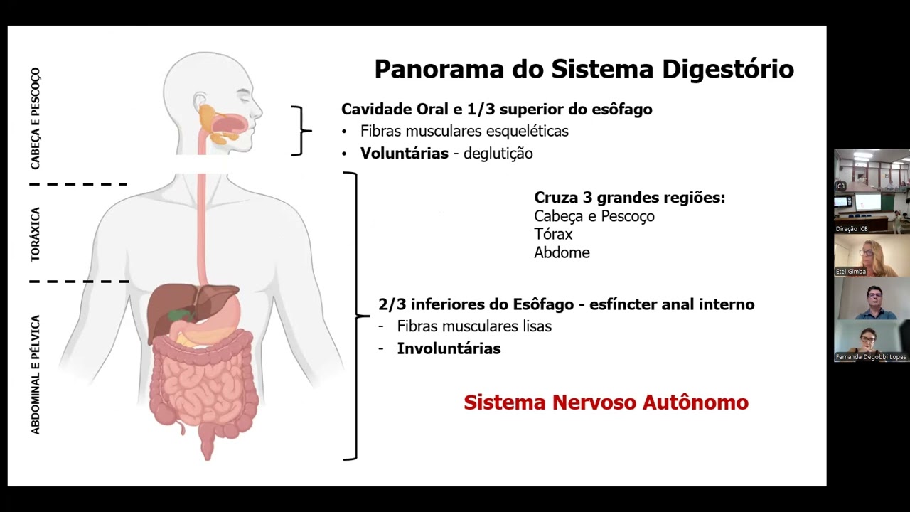 Prova Didática - Romulo - Concurso MC-046