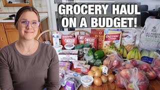 GROCERY HAUL & MEAL PLAN ON A BUDGET! | LARGE FAMILY LIFE