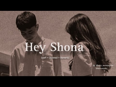 Hey Shona Hey Shona || Ta Ra Rum Pum [Lofi + Slowed + Reverb] by 