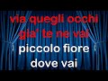 I Teppisti Dei Sogni Piccolo Fiore CORI KARAOKE MM Fair Use