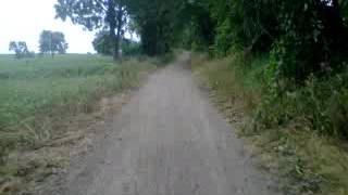 Yamaha Timberwolf 250 pinnin it down the lane way