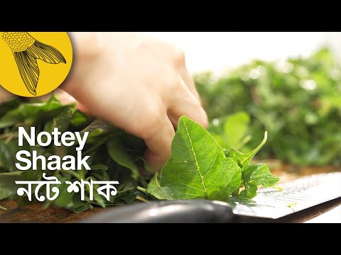 Notey shaak—Green Amaranth | Bengali leafy greens recipe