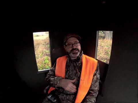 Hog Hunt with Texan 457 LSS CF
