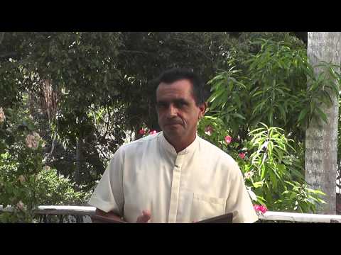 EVANGELIO 26 DE ENERO 2013