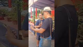 Download lagu Bincang bincang seputar bonsai. bersama pak Ade zuka-zuka bonsai mp3 Download lagu Bincang bincang seputar bonsai. bersama pak Ade zuka-zuka bonsai mp3