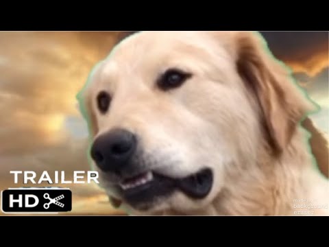 Catzilla vs King Dog - Official Trailer