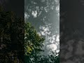 Na Ho Tu Udas Tere Pass Pass Whatsapp Status Shorts Youtubeshorts