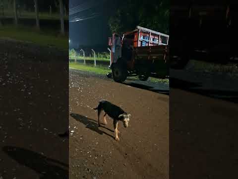 Boa Noite Graça a Deus mais uma entrega  em  Ortigueira Paraná