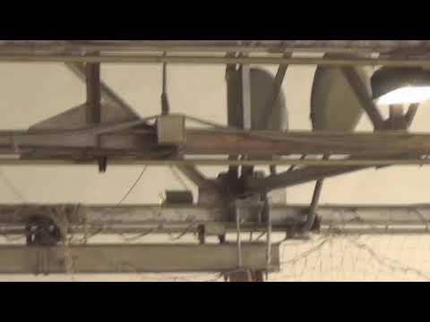 14 КУ  10-11  Юнисеф – Triolan стрим