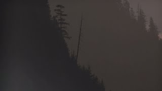 Fantomas - Twin Peaks: Fire Walk with Me (Angelo Badalamenti cover) (Fan Video)