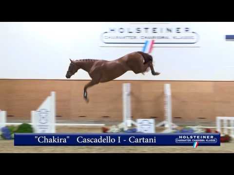 118. Chakira v. Cascadello I - Cartani