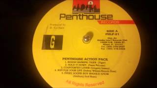 Gregory Isaacs - Counterfeit Lover - Penthouse LP/Various Artsits