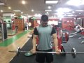 workout for biceps!!! ronnie curl & hammer curl -korean pt stelon-