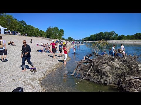 LIFE Natur-Projekt Flusserlebnis Isar; Isarrenaturierung Dingolfing