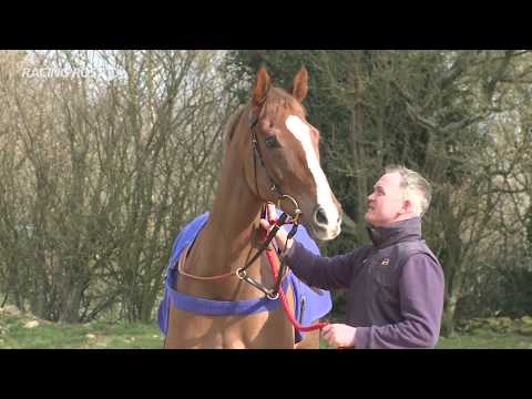 Timico Cheltenham Gold Cup: Native River