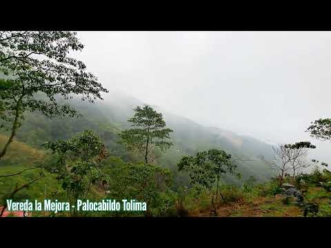 Montañas Cafetera del Tolima 