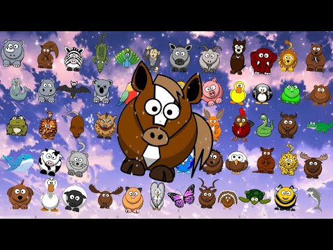 Animal Sounds Song Q52 | Nursery Rhymes for Babies | Nursery Rhymes for Toddlers .