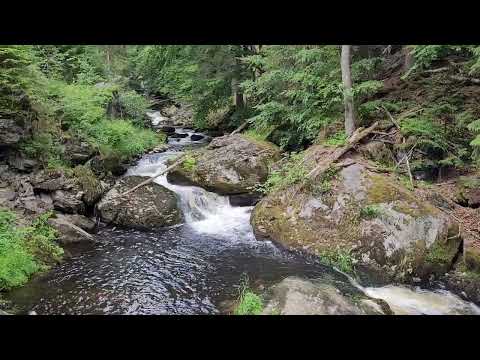 Steinklamm bei Spiegelau- Teil 1 - 02.07.23