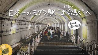 【電車旅】日本一のモグラ駅へ｜上越線に乗って土合駅＆湯檜曽温泉を楽しむvlog