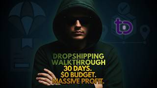 How I Built a Profitable Dropshipping Store in Less Than 30 Days (With ZERO Budget)
