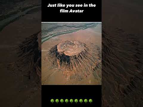 ANCIENT GIANT TREES 🌳🌳🌳