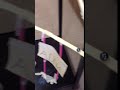 IMG 04981