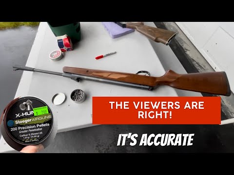 Hatsan Model 95 .25 cal redemption!