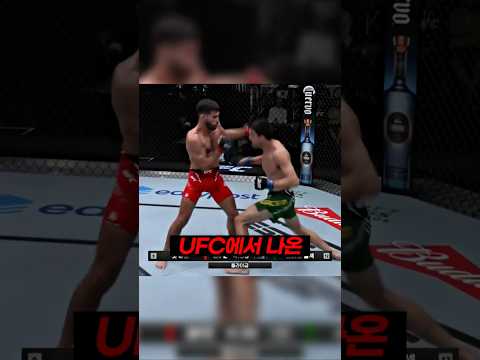 ufc 최고의 복싱 스킬