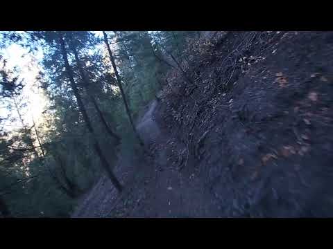 Reservoir Hill Romp Video