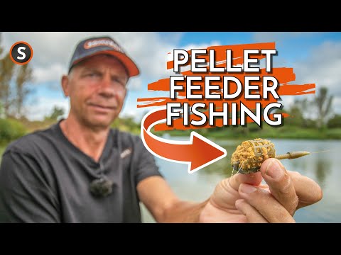 FOUR Reasons YOU Should Be Using Pellet Feeders! | Andy Findlay