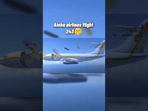 The flight that survived breaking up Midair🤯 #aviation #automobile #edit #crash