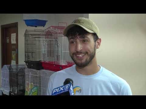 Alleged thief returns exotic birds to NJ pet store after internet sleuths track him down