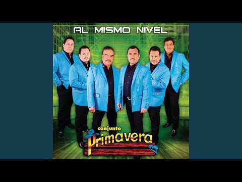 Al Mismo Nivel - Conjunto Primavera