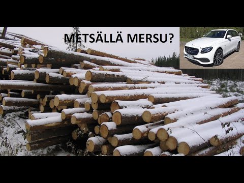 Metsolan Metsäkoulu 202 - Metsätalouden 27 vuoden tulos