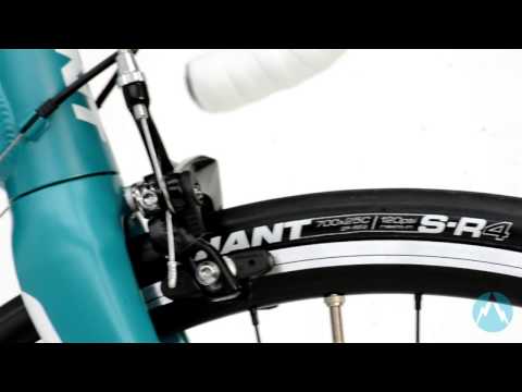 Giant Avail