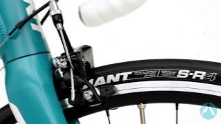 Giant Avail