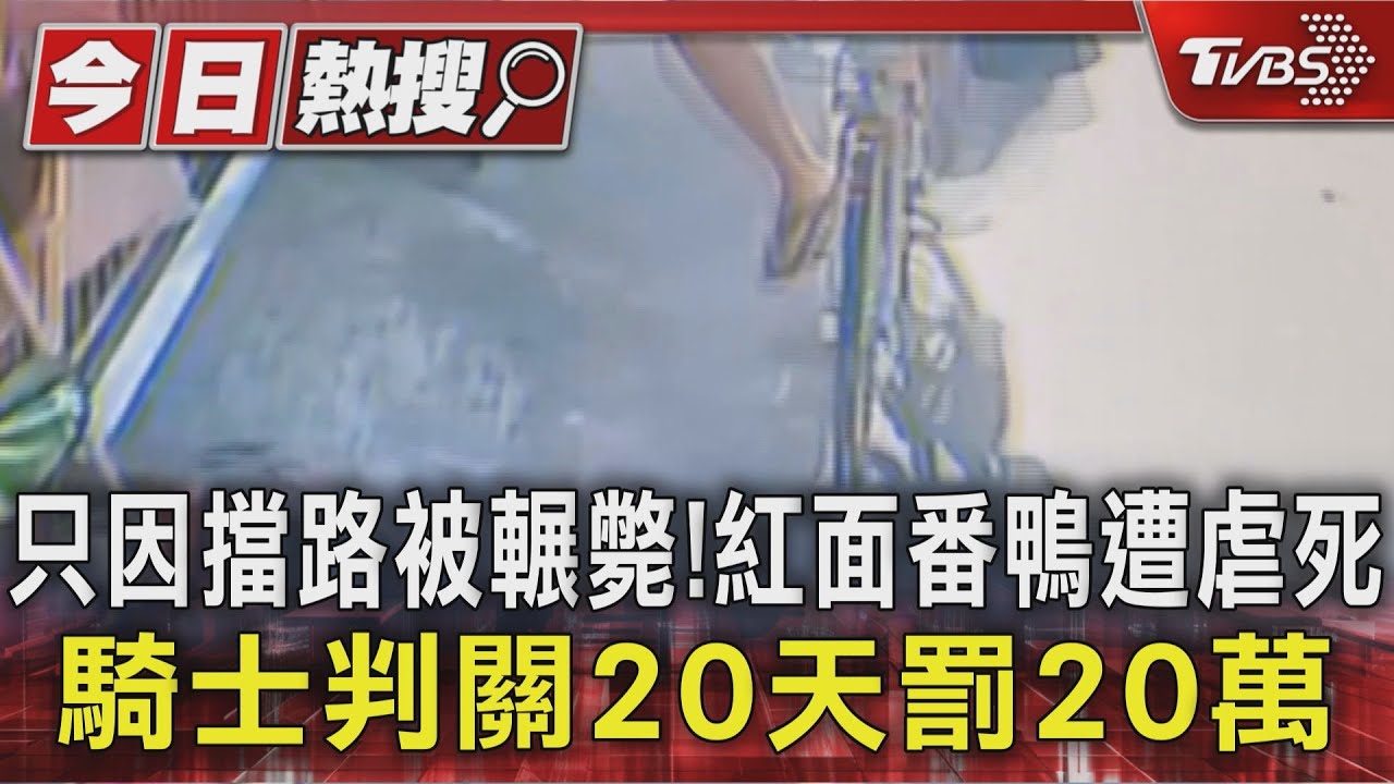 只因擋路被輾斃！紅面番鴨遭虐死　騎士判關20天罰20萬