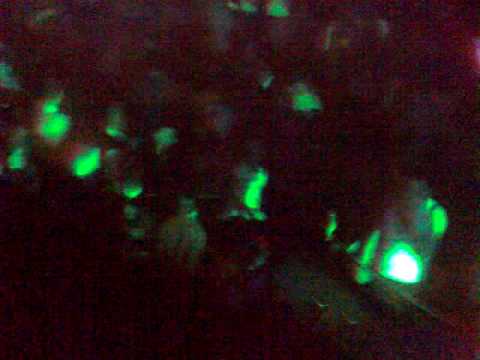 Laurent Wolf au MAD de Lausanne.(06 juin 2009)