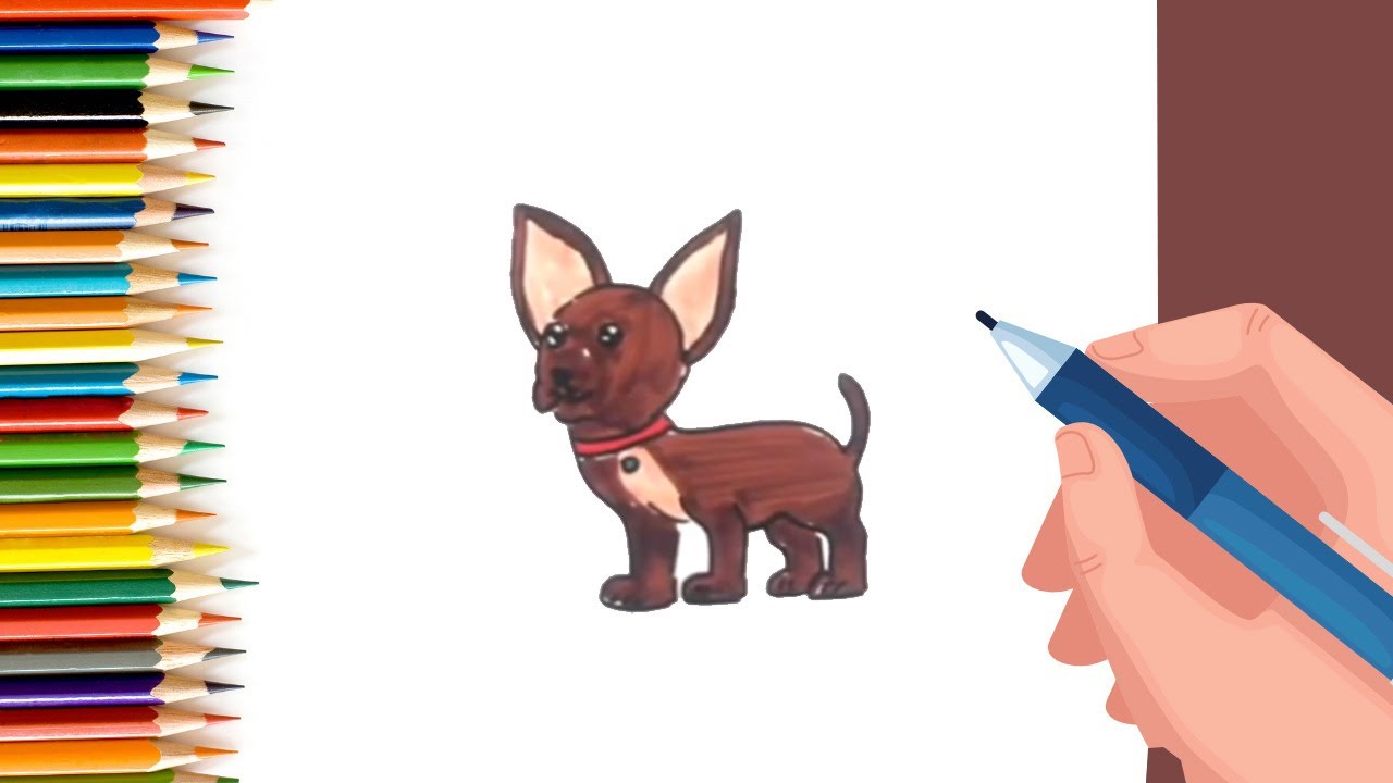 How to draw chihuahua the dog puppy