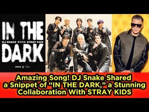 Amazing Song! DJ Snake Shared a Snippet of “IN THE DARK,” a Stunning Collaboration With STRAY KIDS