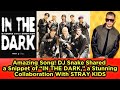 Amazing Song! DJ Snake Shared a Snippet of “IN THE DARK,” a Stunning Collaboration With STRAY KIDS