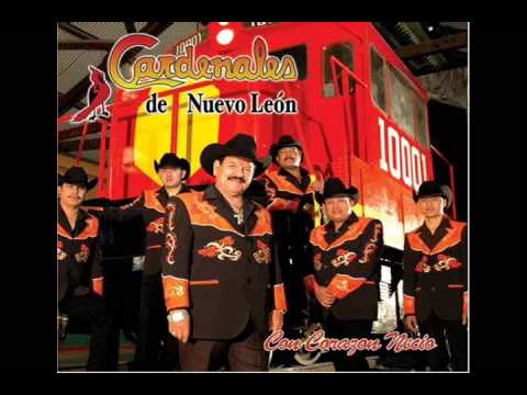 Los Cardenales de Nuevo Leon - Mi nuevo amor