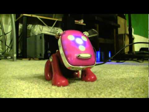 image-How much did an IDOG cost?