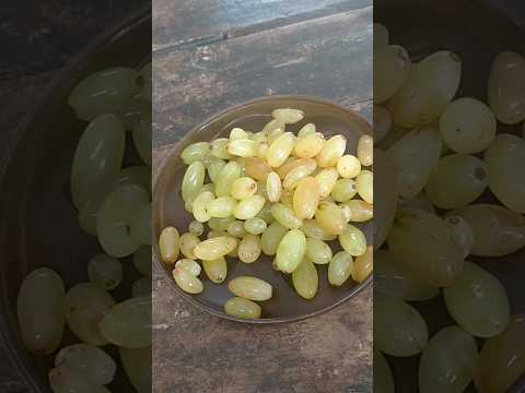 #kismis #seedless #grapes #fruits #shorts #ytshorts #youtubeshorts