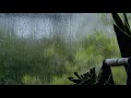 Gentle Rain Sounds On Window In Ireland Relaxing Rain Help Sleep Study Meditation